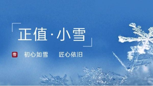 小雪丨初心如雪